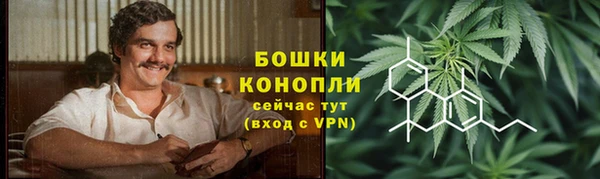 apvp Белокуриха