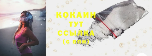 apvp Белокуриха