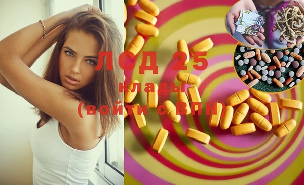 apvp Белокуриха