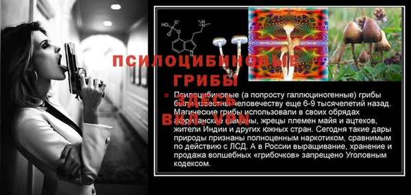 apvp Белокуриха