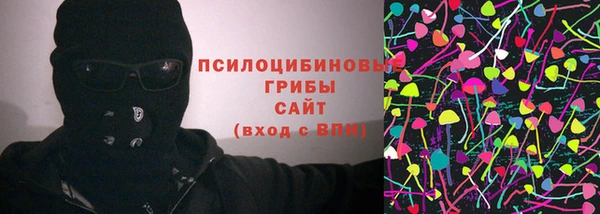 apvp Белокуриха